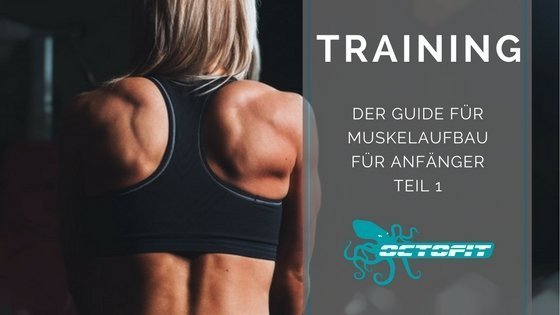 Muskelaufbau für Anfaenger - Octofit