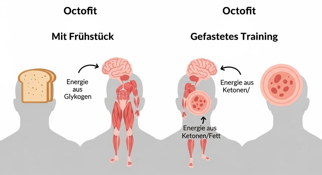 Infografik zum Vergleich der Energiequellen beim Training mit und ohne Intervallfasten.