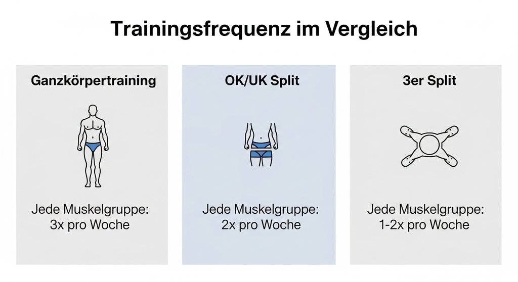 Infografik zum Vergleich der Trainingsfrequenz von Ganzkörpertraining, Oberkörper Unterkörper Split und 3er Split.