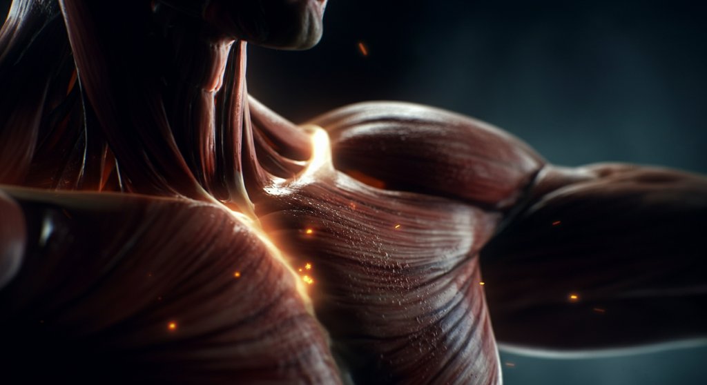 Visualisierung der zellulären Energieproduktion in Muskeln durch die HIIT Physiologie.